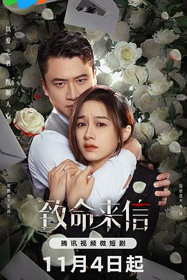 番禺网站建设优化排名